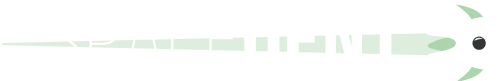 Spacedent Logo